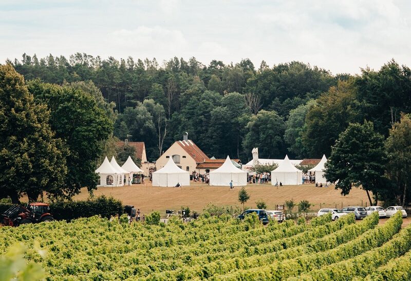 Vinfestivalen